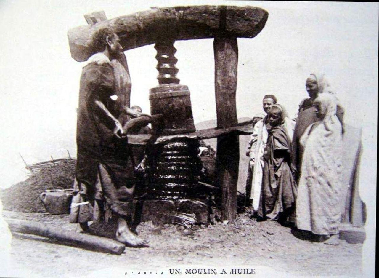 Images d'Algerie 020.jpg